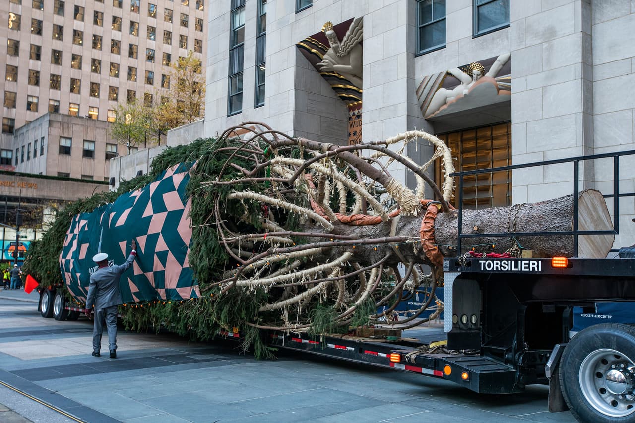 El árbol de abeto noruego de 80 pies de altura fue donado por una familia en Vestal, Nueva York.