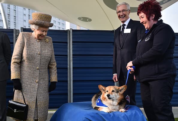 La familia real tiene una larga historia como amantes de los perros. De acuerdo a The Sun, la reina Isabel II ha tenido más de 30 corgis desde que tenía 18 años. El último, Whisper, 
<b><a href="https://www.univision.com/entretenimiento/realeza/muere-uno-de-los-corgis-de-la-reina-isabel-ii" target="_blank">murió a los 12 años</a></b>
<a href="https://www.univision.com/entretenimiento/realeza/muere-uno-de-los-corgis-de-la-reina-isabel-ii" target="_blank">.</a>