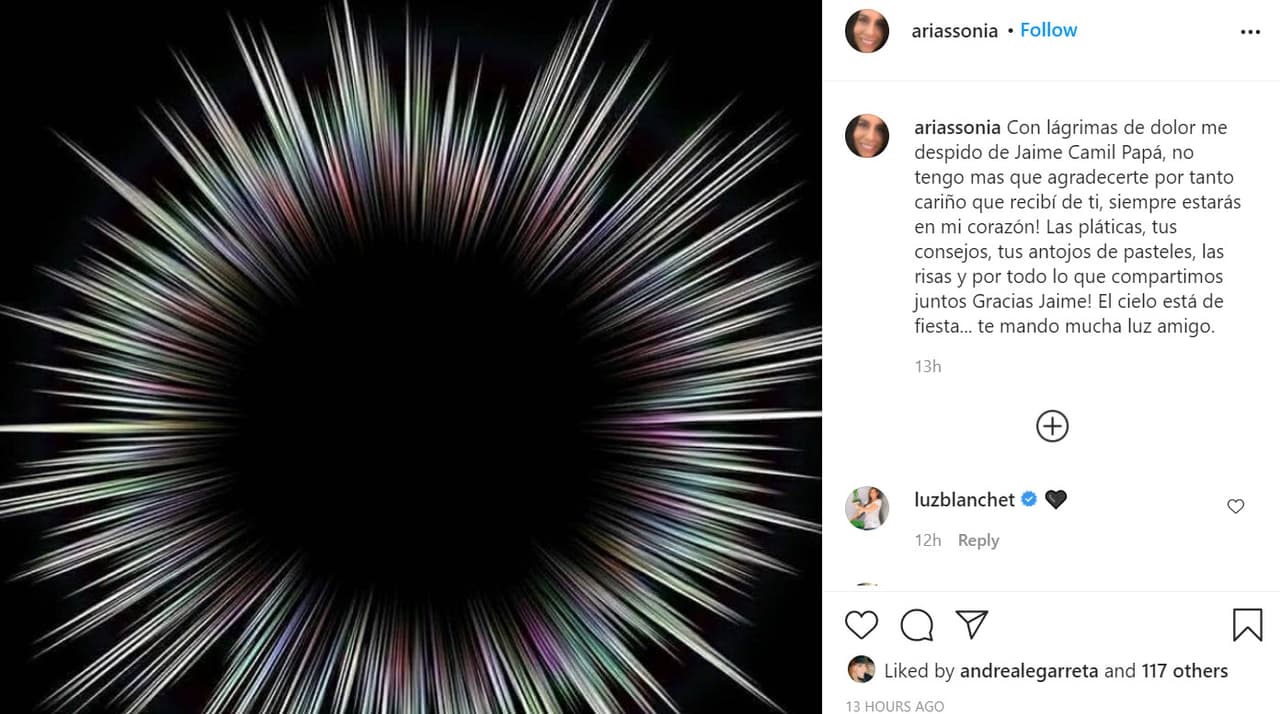 La famosa chef en repostería Sonia Arias no pudo evitar las lágrimas al conocer el triste deceso: "
<b><a href="https://www.instagram.com/p/CIesqc0DNqj/" target="_blank">Con lágrimas de dolor me despido</a></b> de Jaime Camil papá, no tengo más que agradecerte por tanto cariño que recibí de ti, ¡siempre estarás en mi corazón! Las pláticas, tus consejos, tus antojos de pasteles, las risas y ¡por todo lo que compartimos juntos, gracias Jaime! El cielo está de fiesta... te mando mucha luz amigo".