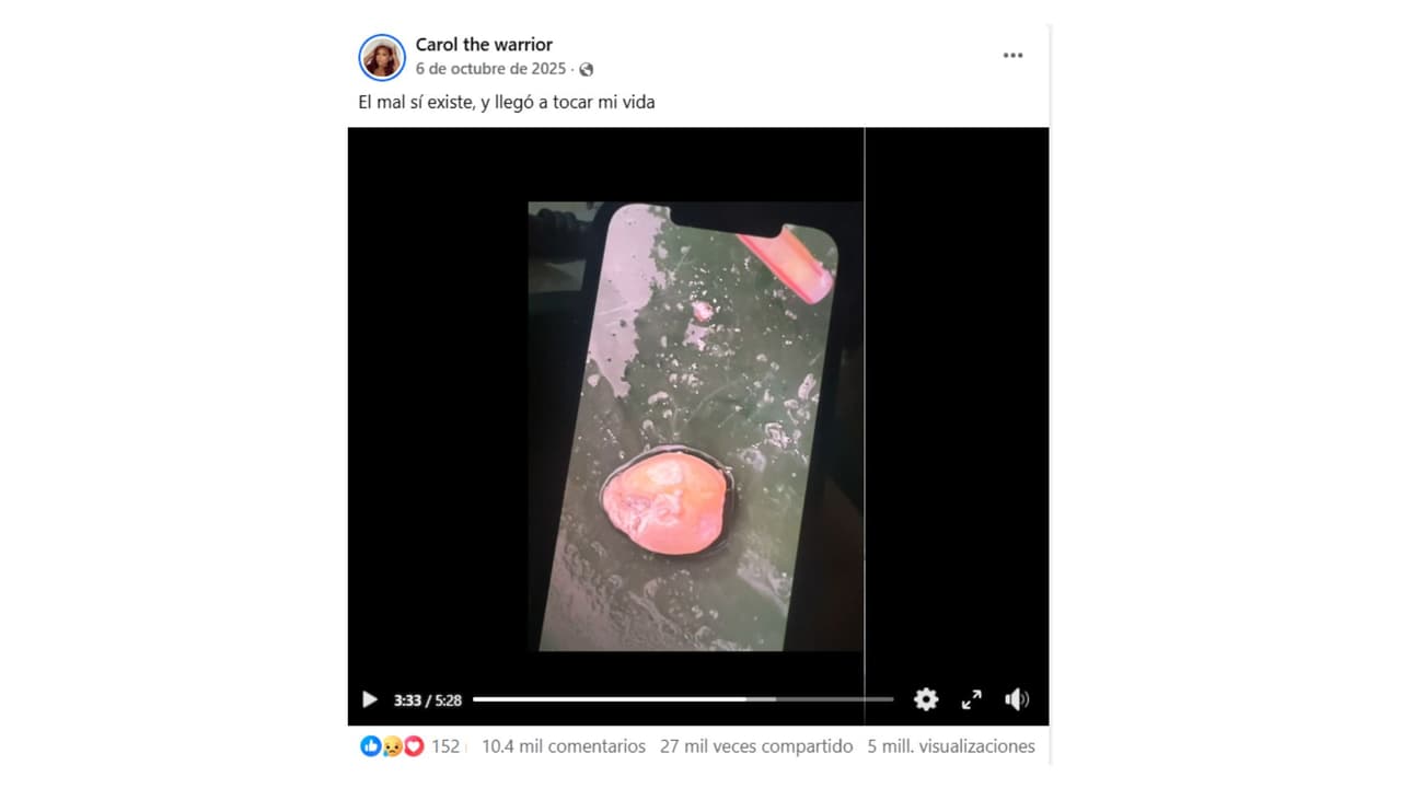 Esto fue lo que Carol The Warrior vomitó.