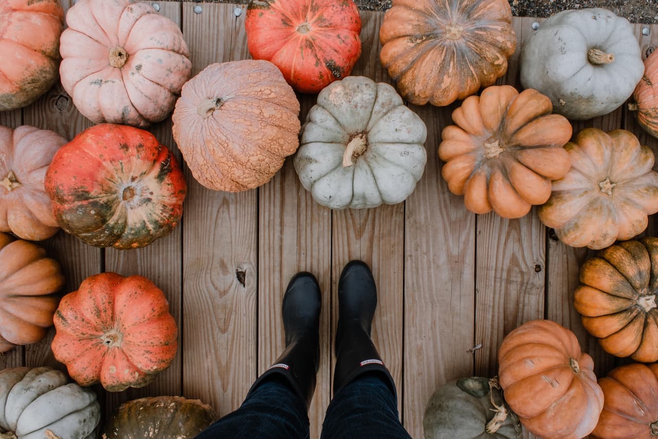 <a href="https://www.chicagoparkdistrict.com/events/mini-pumpkin-patch-bell-0"><u>Mini Pumpkin Patch at Bell</u></a>
<br>3020 N. Oak Park Ave.
<br>Chicago, IL 60634