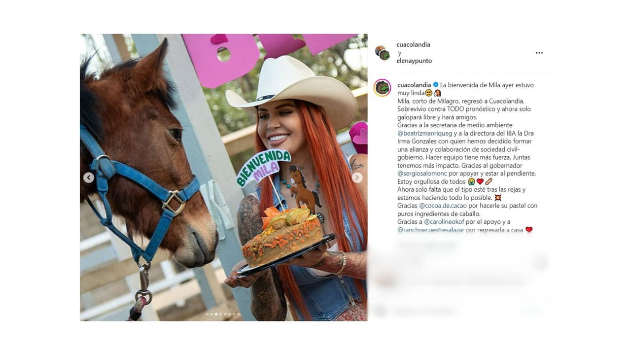 Elena Larrea rescató a Mila, una yegua víctima de zoófila.