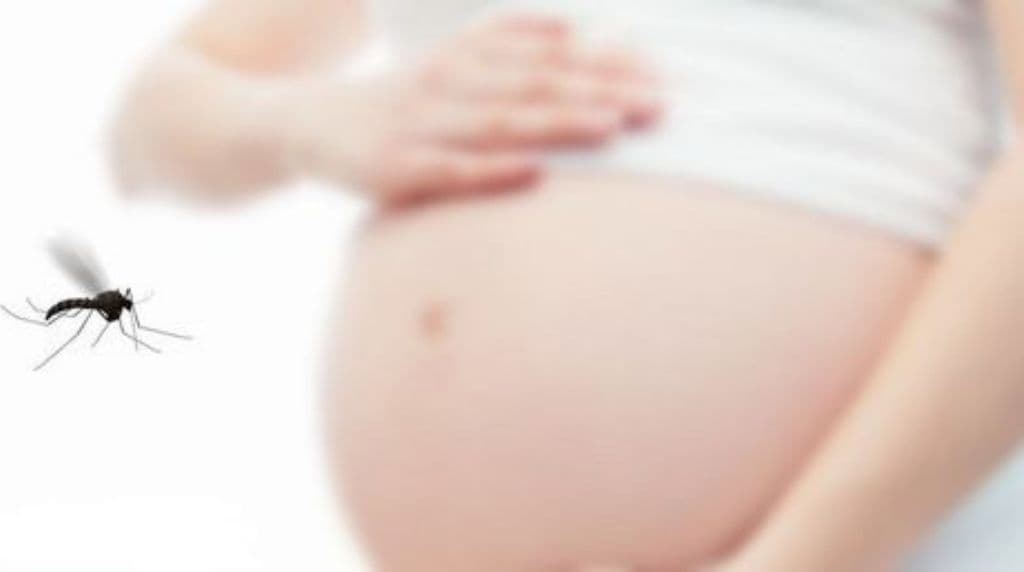 Asciende a 16 el número de embarazadas en Puerto Rico infectadas con zika