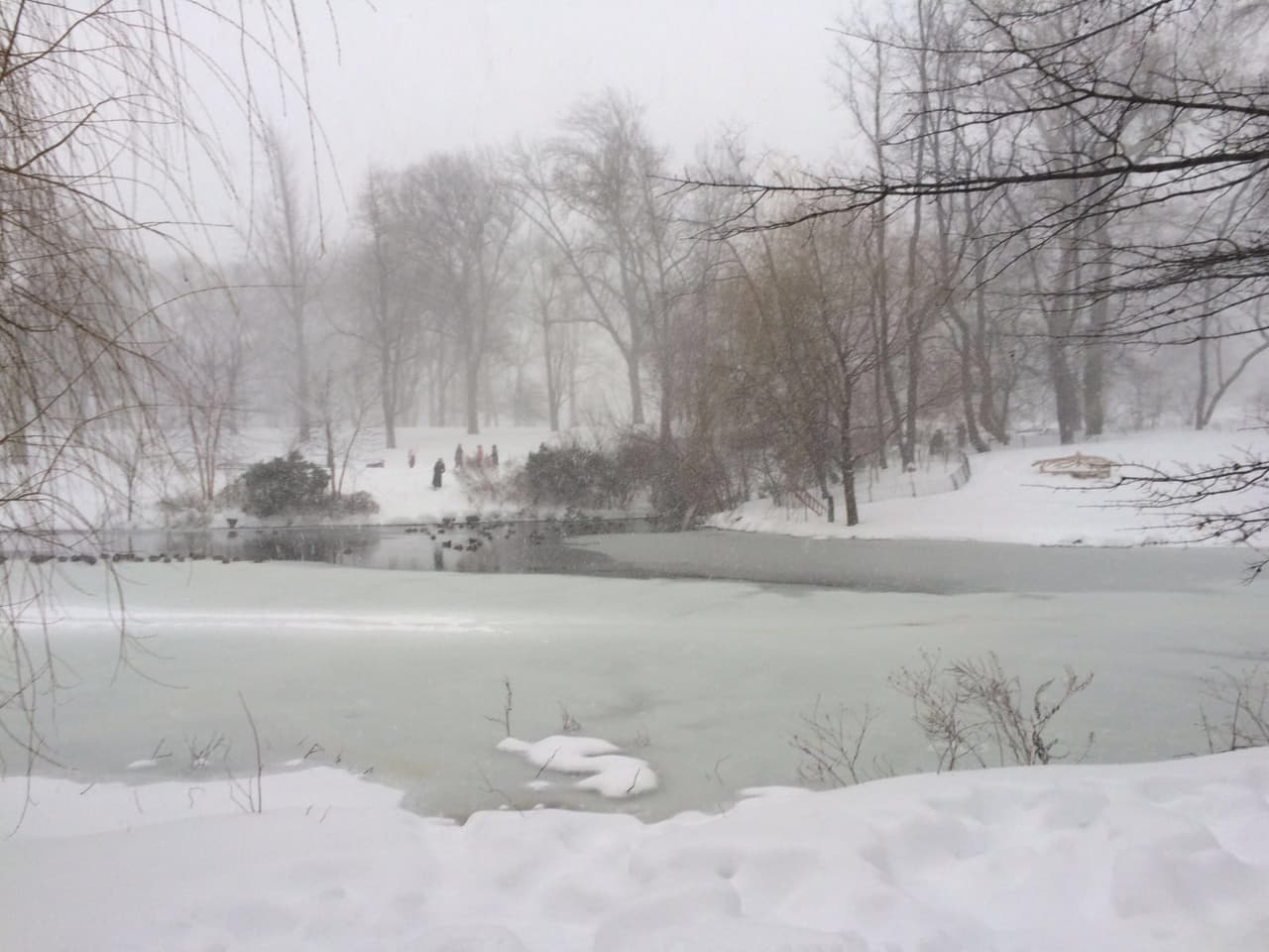 A pesar de que las autoridades pidieron a los ciudadanos mantenerse en sus casas, muchos de ellos los desafiaron en horas del día.