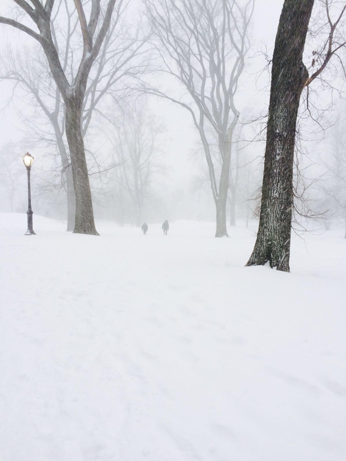 A pesar de que las autoridades pidieron a los ciudadanos mantenerse en sus casas, muchos de ellos los desafiaron en horas del día.