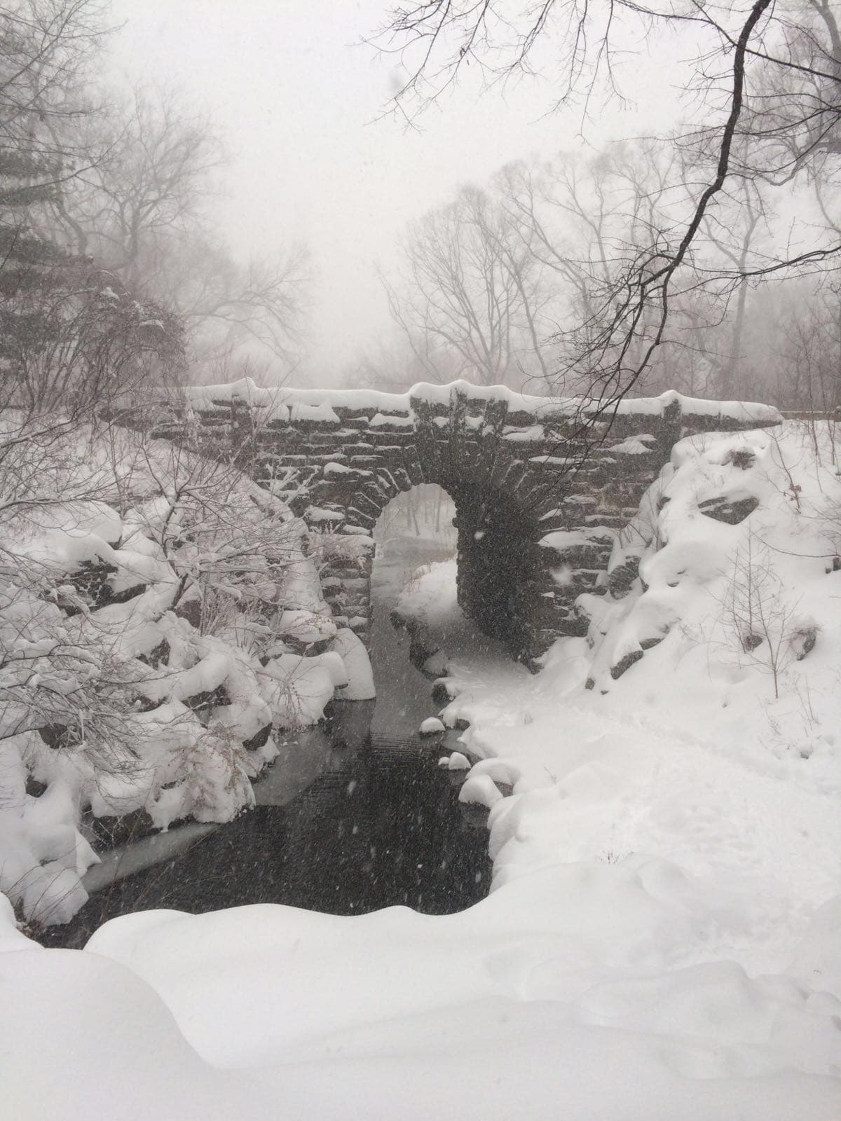 A pesar de que las autoridades pidieron a los ciudadanos mantenerse en sus casas, muchos de ellos los desafiaron en horas del día.