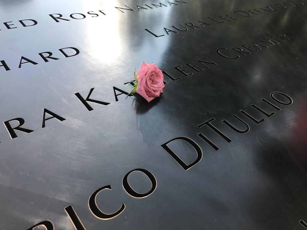 Una pequeña rosa para honrar a Kathleen Creamer. (Patricia Vélez)