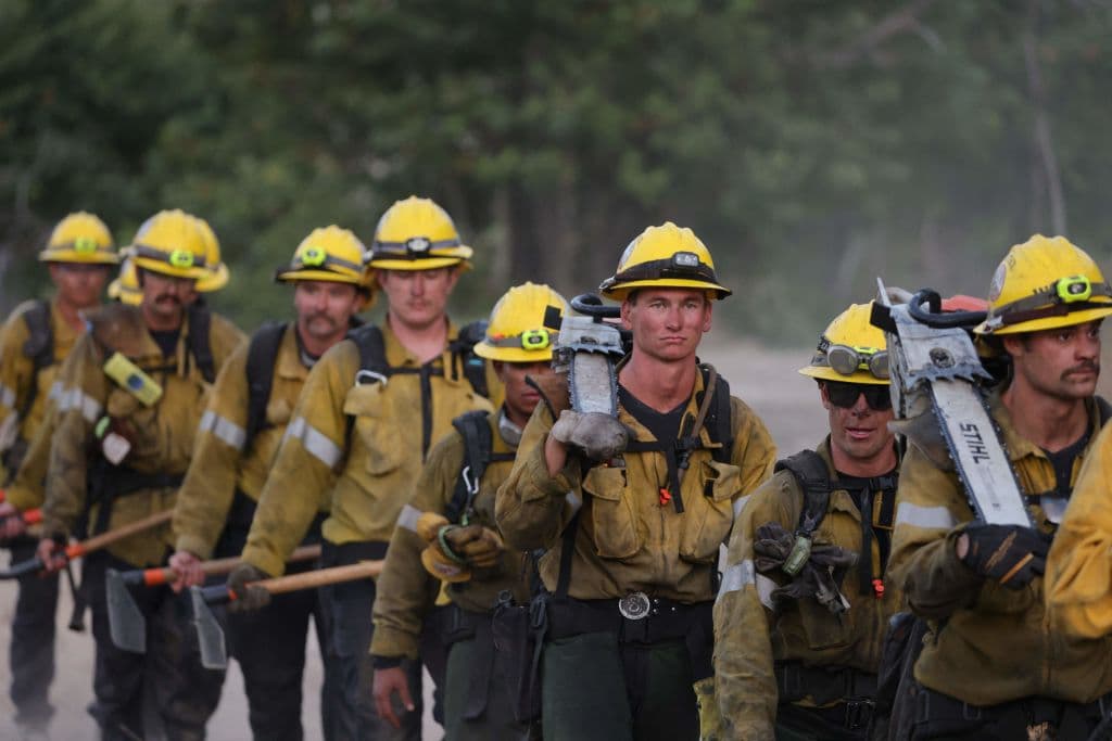 Decenas de bomberos se presentaron a combatir un incendio que estimaron se extendía unas cuatro acres.