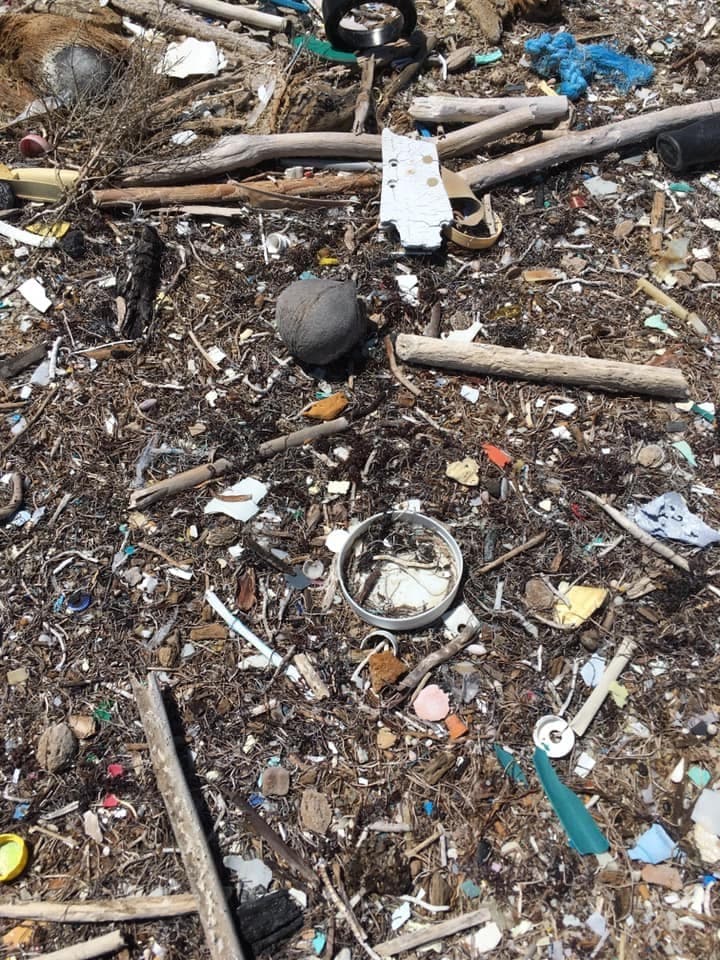 El 21 de septiembre de 2019 de 8:00 am a 12:00 pm, Scuba Dogs Society llevará a cabo el día de "Limpieza Internacional de Costas" en donde estarán limpiando playas, ríos y lagos de todo Puerto Rico. Solicitan la ayuda de voluntarios.