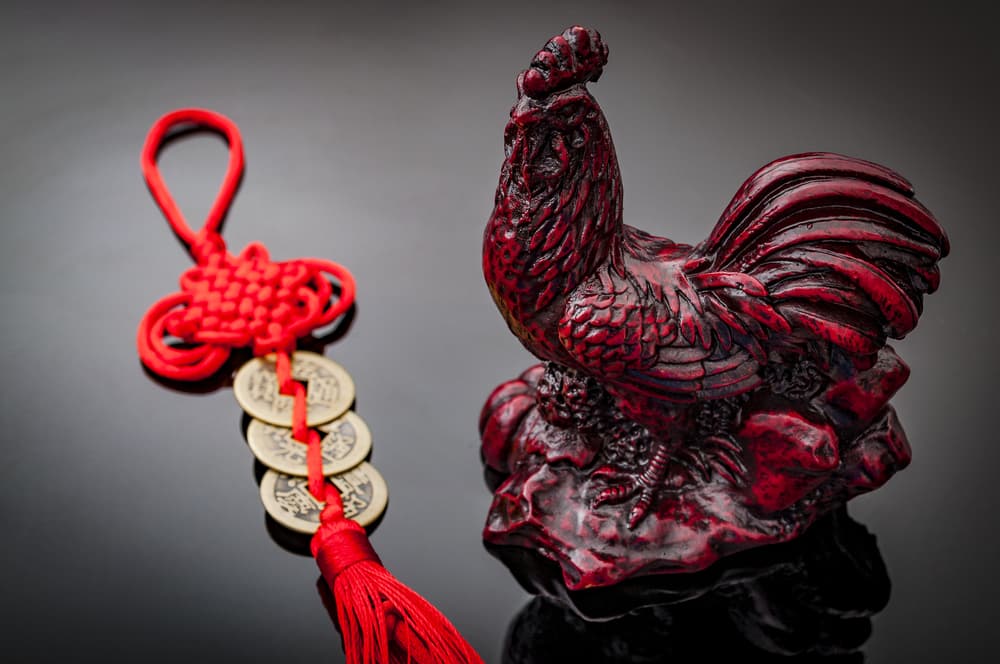 Por otra parte es muy interesante la compatibilidad amorosa del Gallo con otros signos chinos pues se lleva de forma admirable con el Buey, el Dragón y la Serpiente, y en general de una manera aceptable con el resto de los signos aunque con los nativos de la Rata, el Caballo y la Liebre hay bastantes choques.