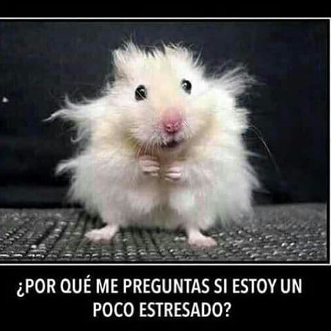 Con esta imagen ilustró lo estresada que se encuentra por su polémica "amistad" con el capo de la droga.