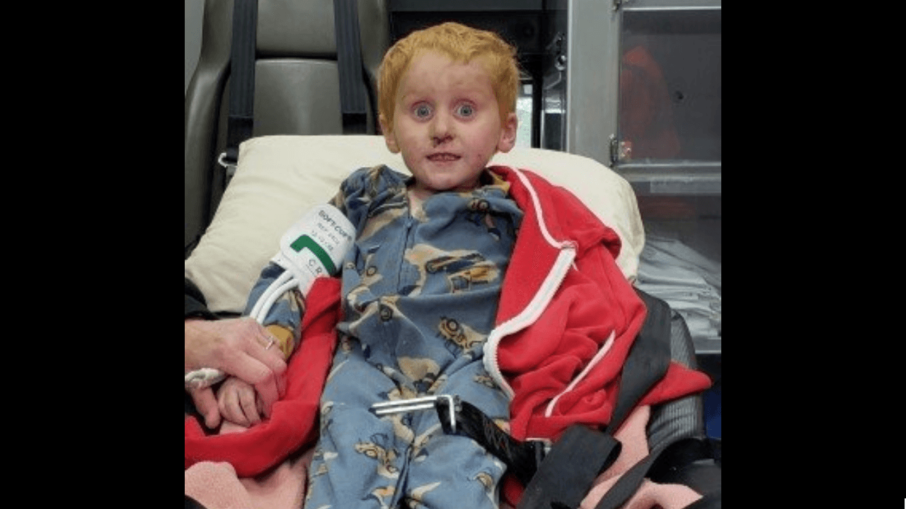 Hallan a un niño que sobrevivió por sí mismo en un área boscosa durante dos días
