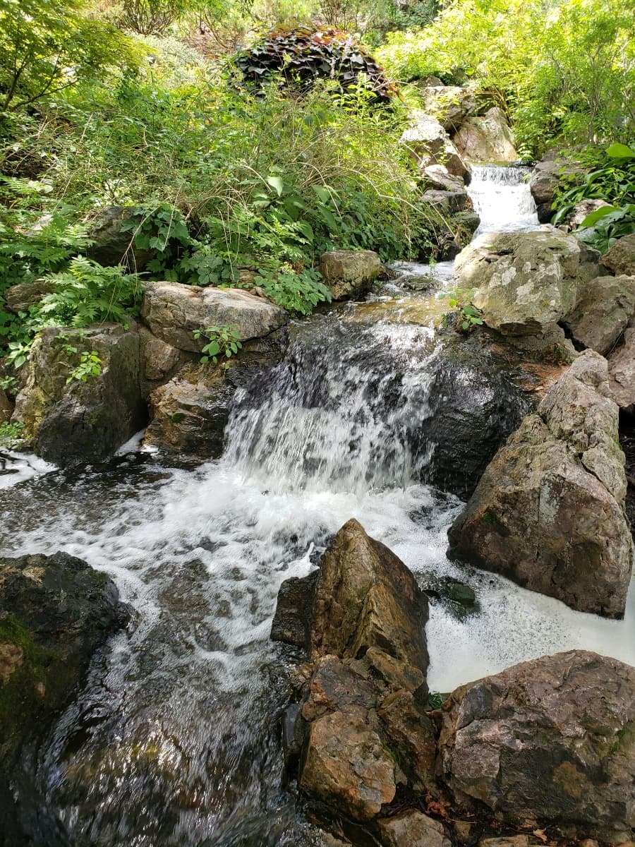 Abierto todo el año para disfrutar de diferentes plantas, flores, cascadas y más.