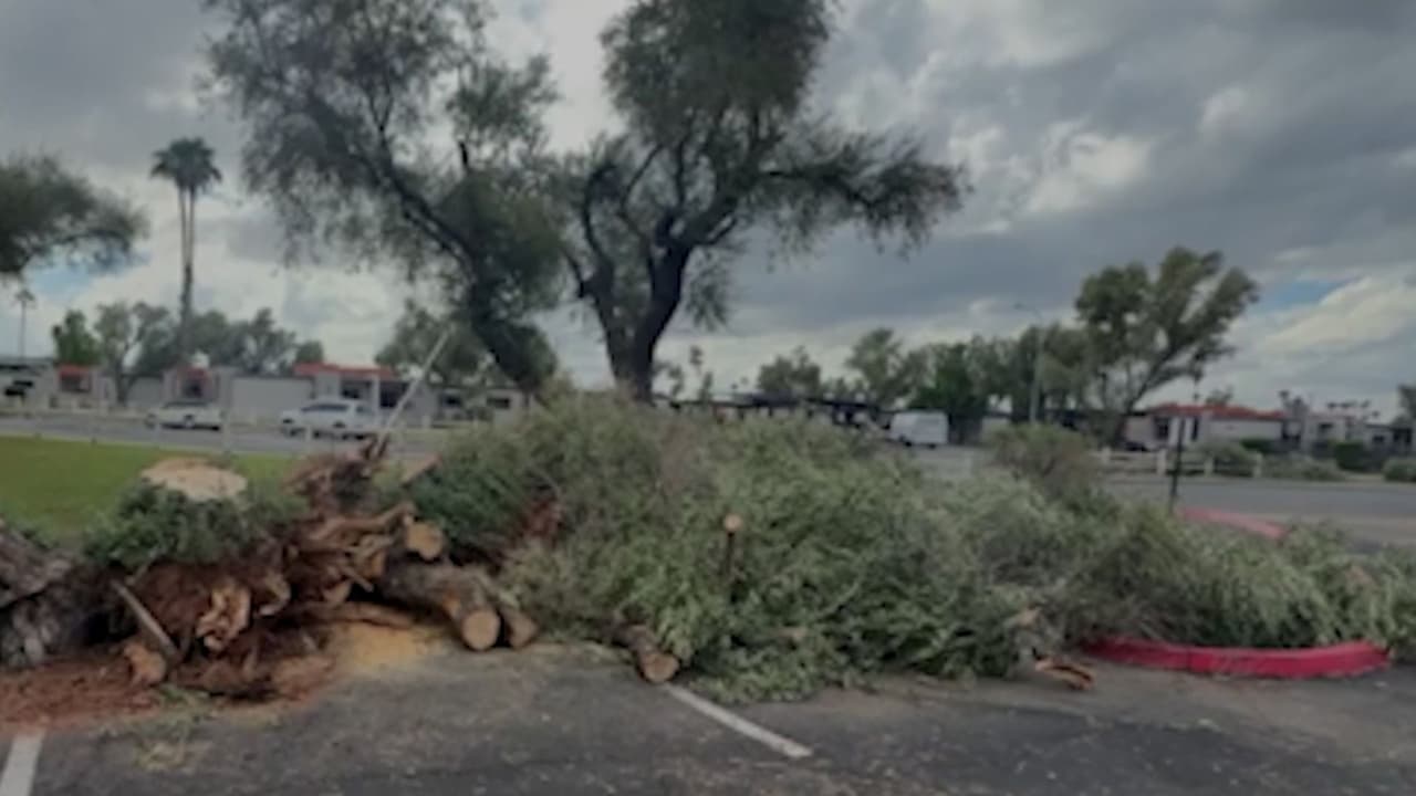 Fuertes tormentas azotan Arizona y dejan daños en viviendas