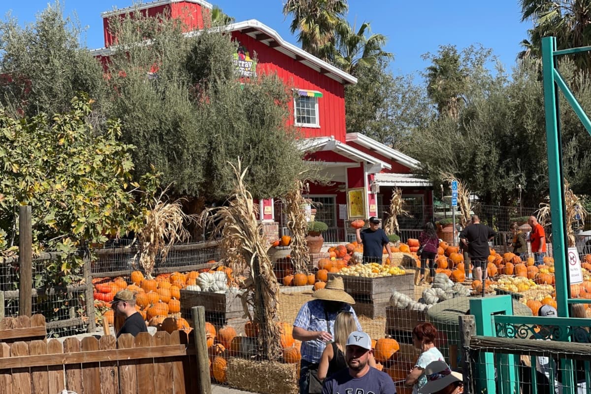 Murray Family Farms llevará a cabo su October Fun Fest del 30 de septiembre al 31 de octubre. Los visitantes pasarán divertidos momentos en esta granja ubicada en el 6700 General Beale Rd. en Bakersfield. Está abierto de lunes a viernes de 1:00 a 8:00 p.m. Sábados y domingos desde el mediodía hasta las 8:00 p.m.