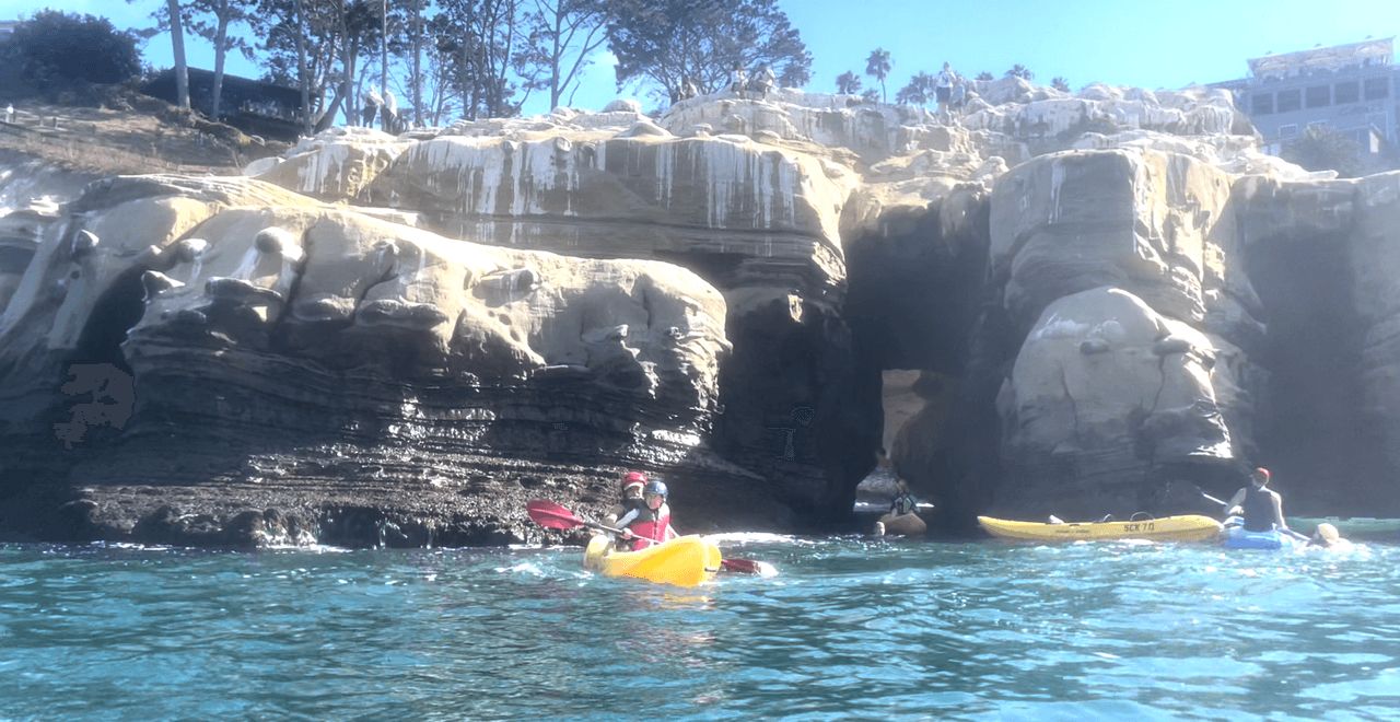 Puedes ver las cuevas y los leones marinos desde la cima del gran paredón rocoso. Sin embargo, debes tener cuidado y respetar las señales de advertencia. Un resbalón te lanzaría a una altura de aproximadamente 300 pies de altura sobre el mar.