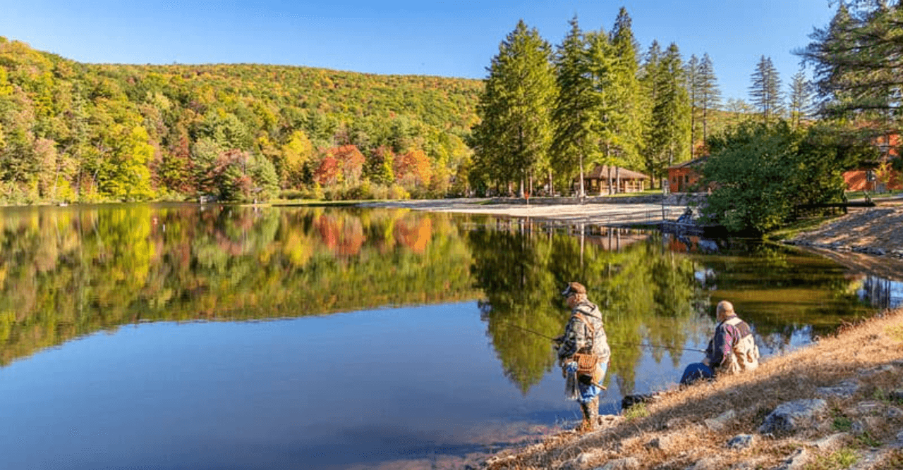 <b>Greenwood Furnace State Park: </b>Si se encuentra en el área para ver la fabricación histórica de hierro, el Parque Estatal Greenwood Furnace ofrece una playa de arena de 300 pies que conduce a su área de natación en el lago en la que puede refrescarse.
<br>
<br>
<b>Cuándo</b>: el área de baño está abierta desde las 8 a. m. hasta la puesta del sol desde finales de mayo hasta mediados de septiembre.
<br>
<br>
<b>Otras comodidades:</b> ducha cercana, vestidor y snack bar
<br>
<br>
<b>Ubicación</b>: 15795 Greenwood Road, Huntingdon, PA 16652