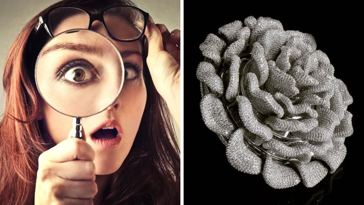 Este anillo acaba de batir un récord Guinness por tener más de 24 mil diamantes: esto cuesta