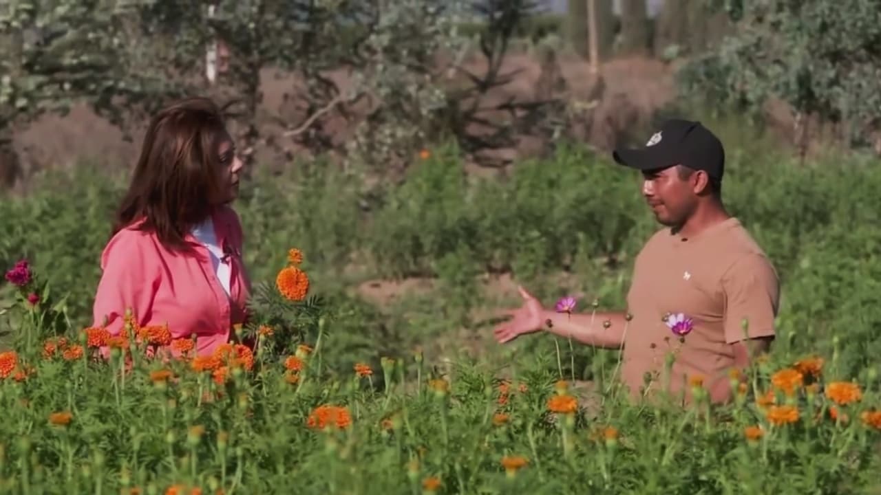 Trabajadores agrícolas en alerta por el huracán Polo: El temor por sus cultivos y la falta de protección en la zona