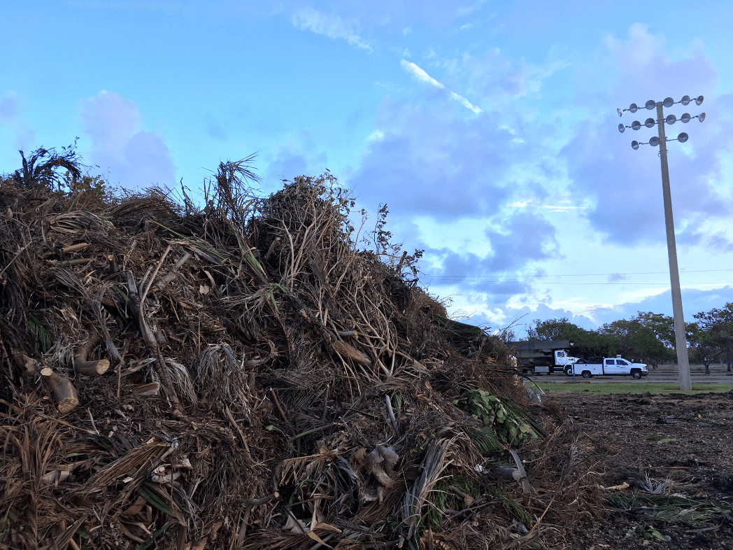 Otro sitio de recolección de desechos en Crandon Park, cerca de Miami. Se estima que los desechos de tan solo el condado de Miami-Dade alcanzan los tres millones de yardas cuadradas o 500,000 toneladas. Foto: David Adams.