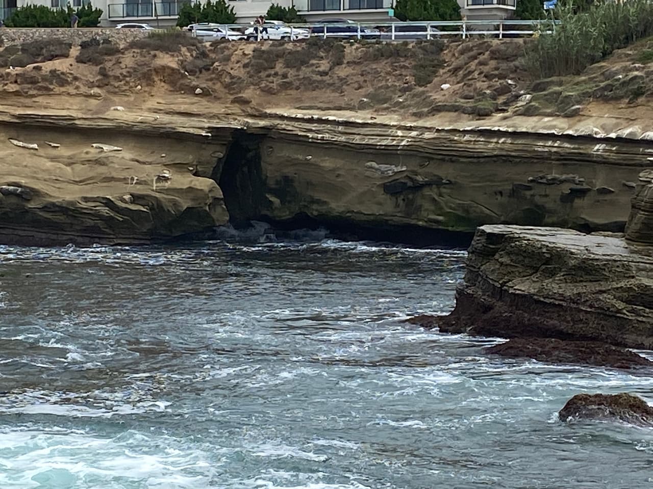 Ahora que si te gusta la aventura y explorar cuevas marinas, este es el destino ideal para ti. Solo recuerda que este tipo de paseo lo debes hacer con equipo especializado y guiado por un guía experto.