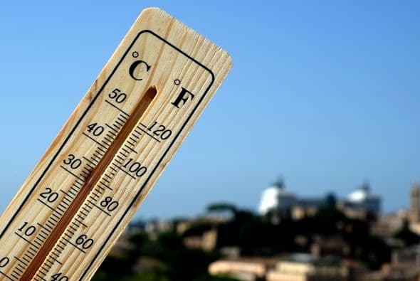 ¿Llegó la primavera?: Sube la temperatura en Georgia después de un fin de semana helado
