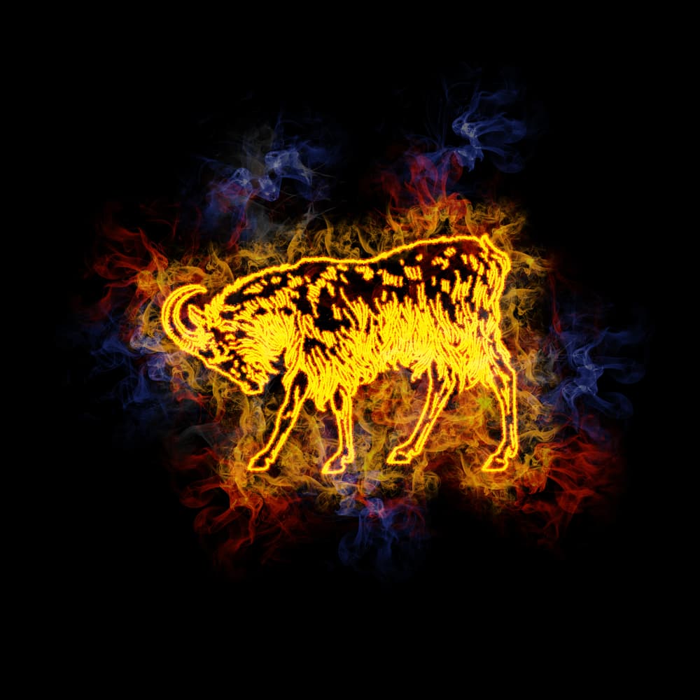 El Mes de la Oveja –también llamado de la Cabra -en el horóscopo chino, se extiende desde el 21/22 de junio hasta el 20/21 de julio (y coincide con el signo zodiacal Cáncer, aunque no necesariamente implica que todos los cancerianos sean caballos o las ovejas cancerianas, ya que no son equivalentes, aunque podría ser así si coincidieren la fecha y año de nacimiento. Por: Profesor Zellagro