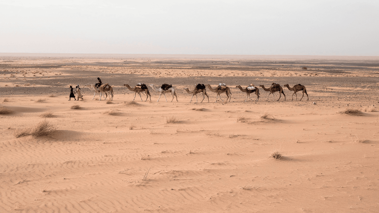 El desierto del Sahara dejaría de existir si la Tierra girara al lado contrario