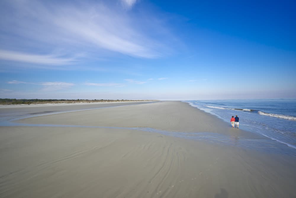 <b>2.-Cumberland Island's Beaches</b>
<br>101 Wheeler Street
<br>St. Marys, GA 31558
<br>(912) 882-4336
<br>
<br>La isla más grande de las Islas Doradas de Georgia. La costa de 17 millas de largo consta de varias dunas, lagos de agua dulce y pantanos. Solo se puede llegar a la isla en barco. Caminar por la costa nacional de Cumberland Island es una gran atracción en toda el área. Los visitantes que deseen pasar la noche pueden acampar en la orilla del mar.
<br>