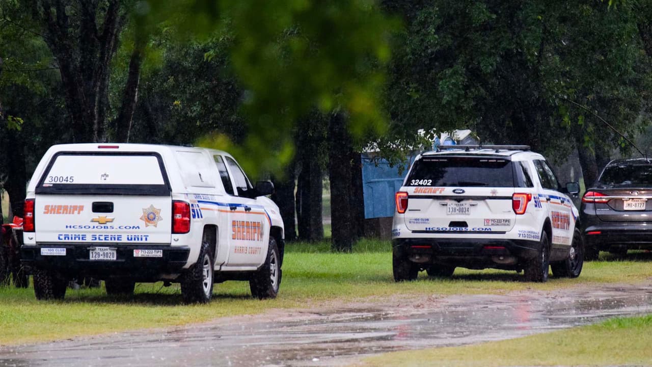 El bebé era hispano y se presume que la madre dio a luz en ese lugar, según dijo 
<a href="https://twitter.com/SheriffEd_HCSO/status/1400575361642119177" target="_blank">Ed González, alguacil del condado Harris, en su cuenta de Twitter</a>.