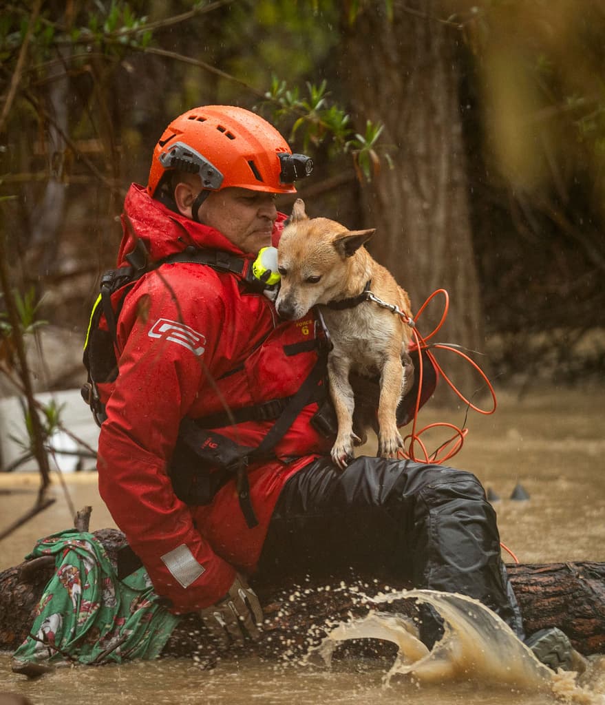 En total, unas 18 mascotas fueron rescatadas de la creciente del río Santa Ana.