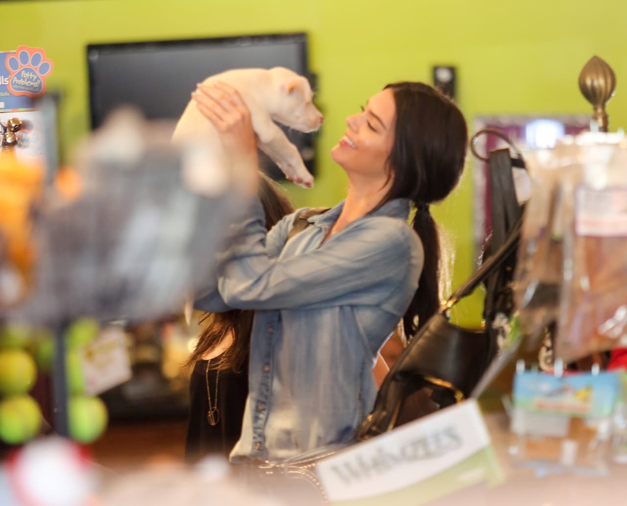 Es una magnífica tienda de mascotas en Los Ángeles.