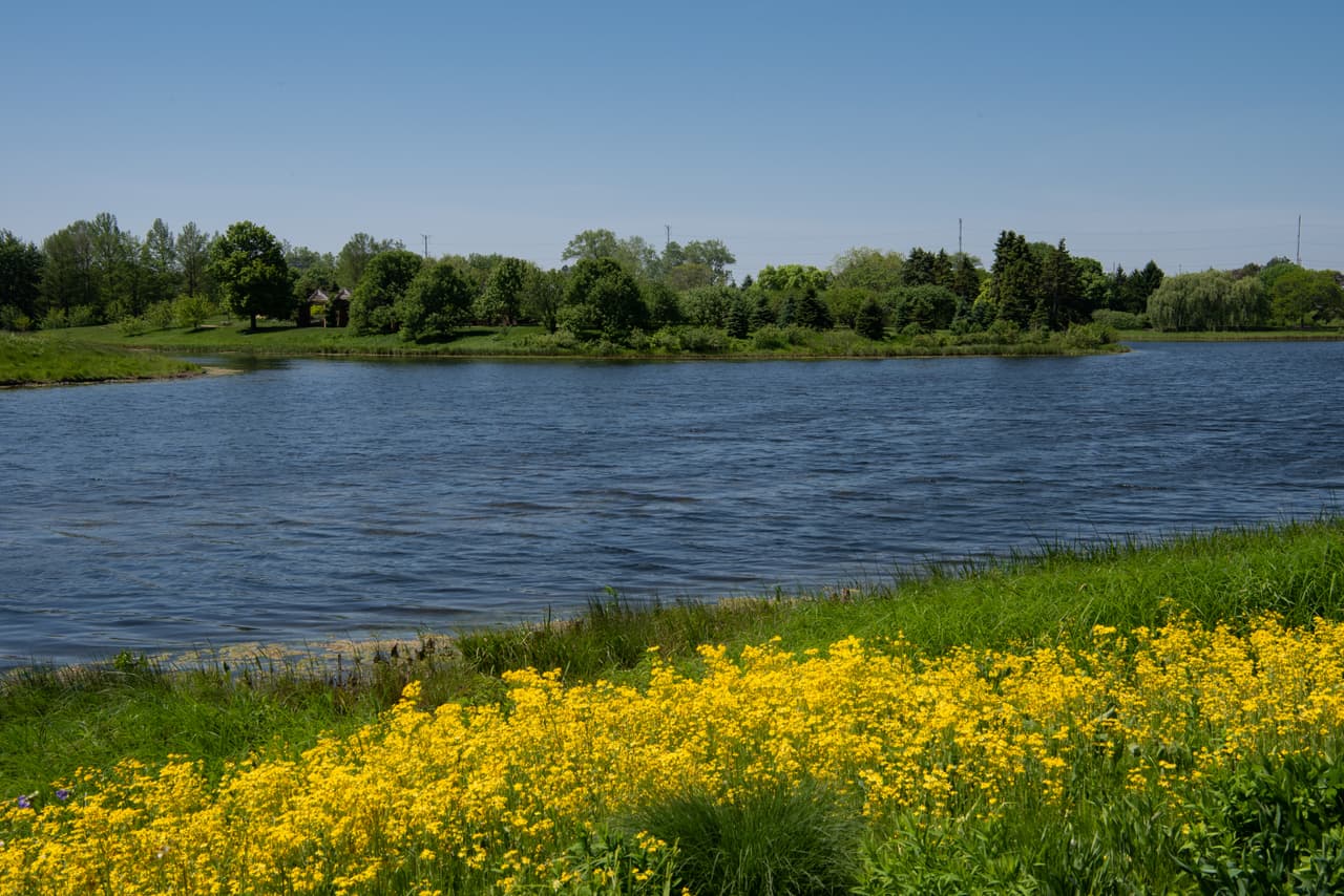 <b>Chicago Botanic Garden: </b>Para ingresar se requiere preinscripción. Todos los visitantes que vienen en un carro, deben registrarse previamente para una fecha y hora específicas.
<a href="https://www.chicagobotanic.org/" target="_blank">Más aquí</a>.