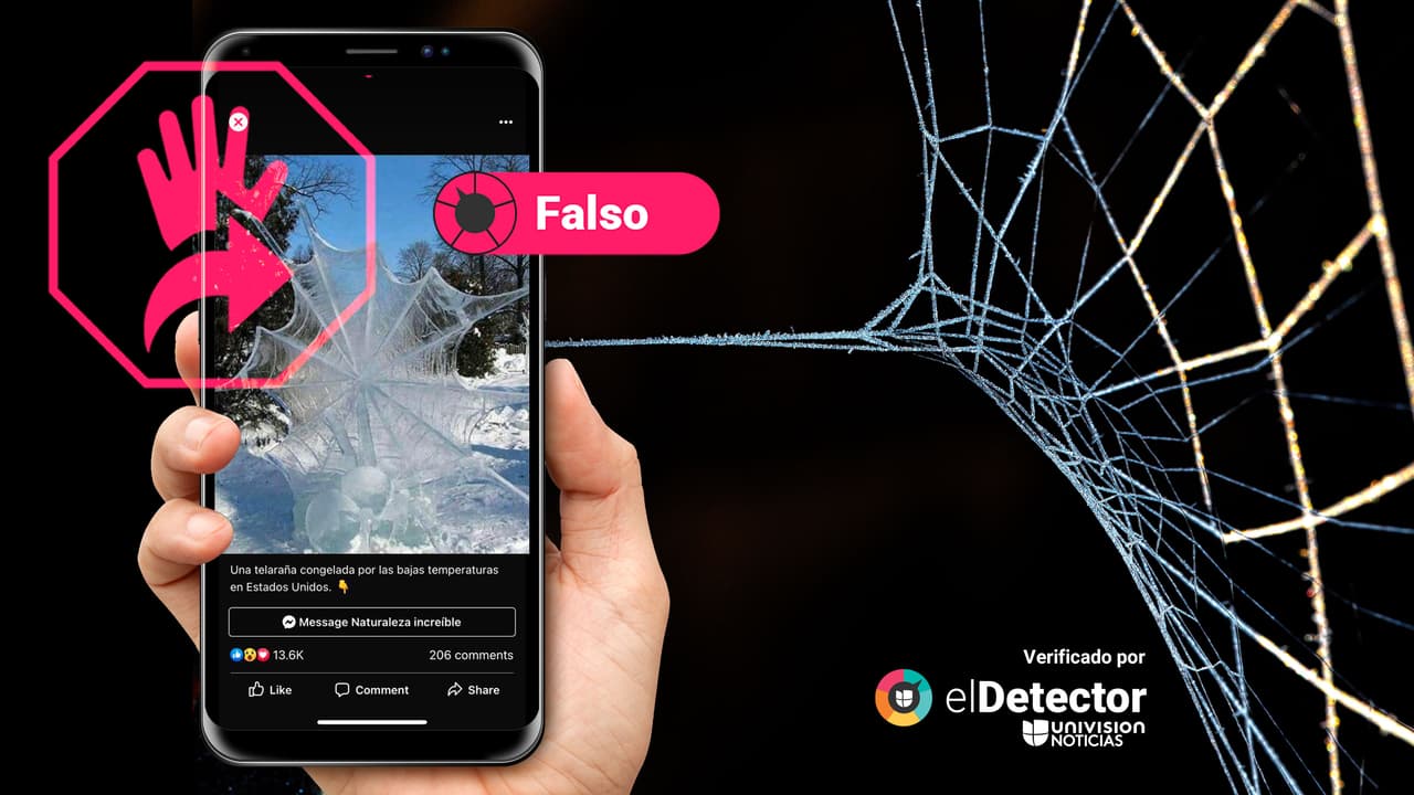 Esa foto NO es de una telaraña congelada en EEUU: era una escultura de hielo en Finlandia