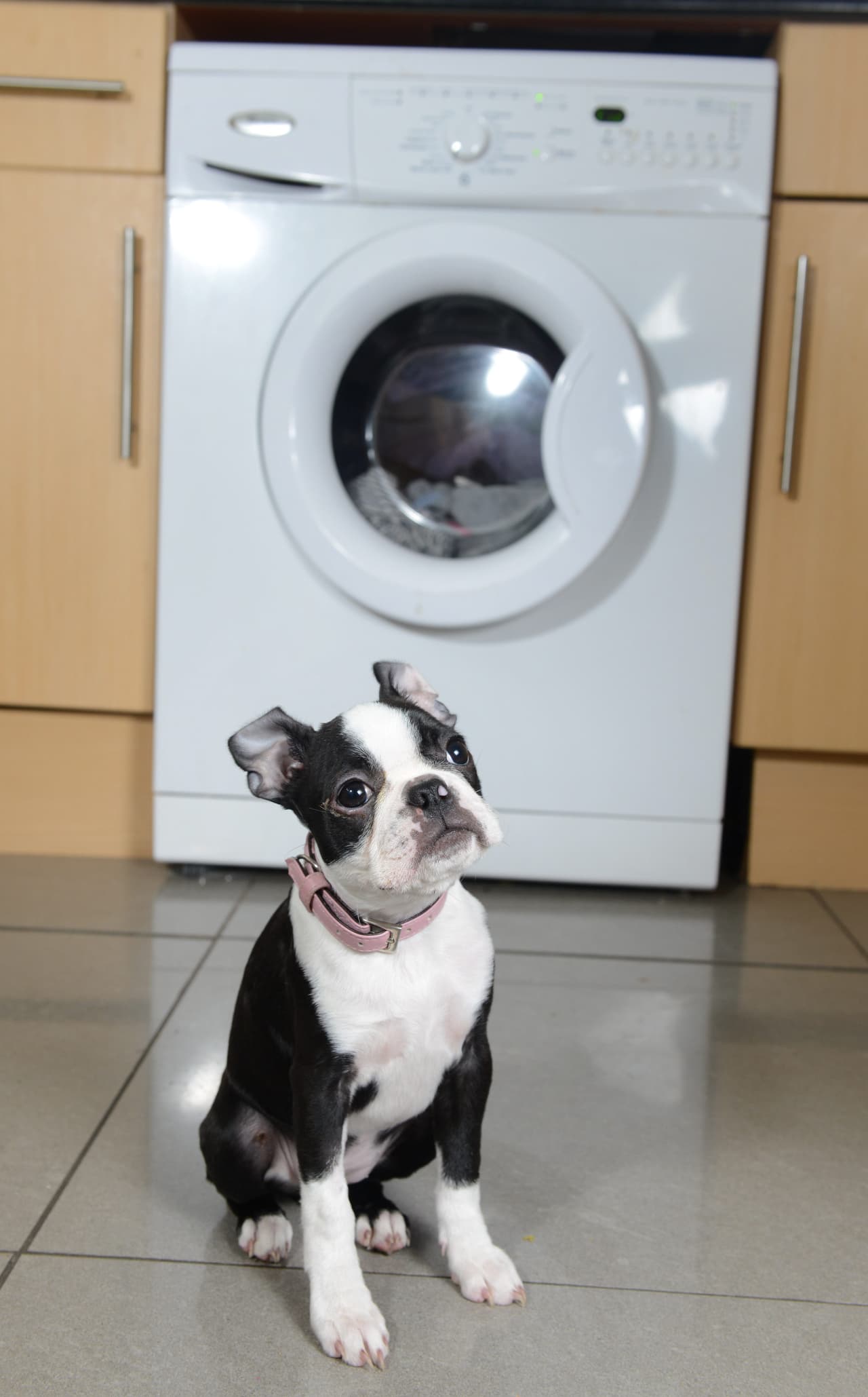 Ellos no auguraban un final feliz para esta historia.