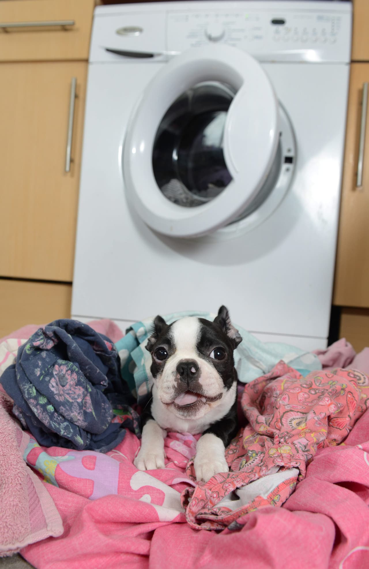 ¡No era normal pasar más de 10 minutos sin una travesura!