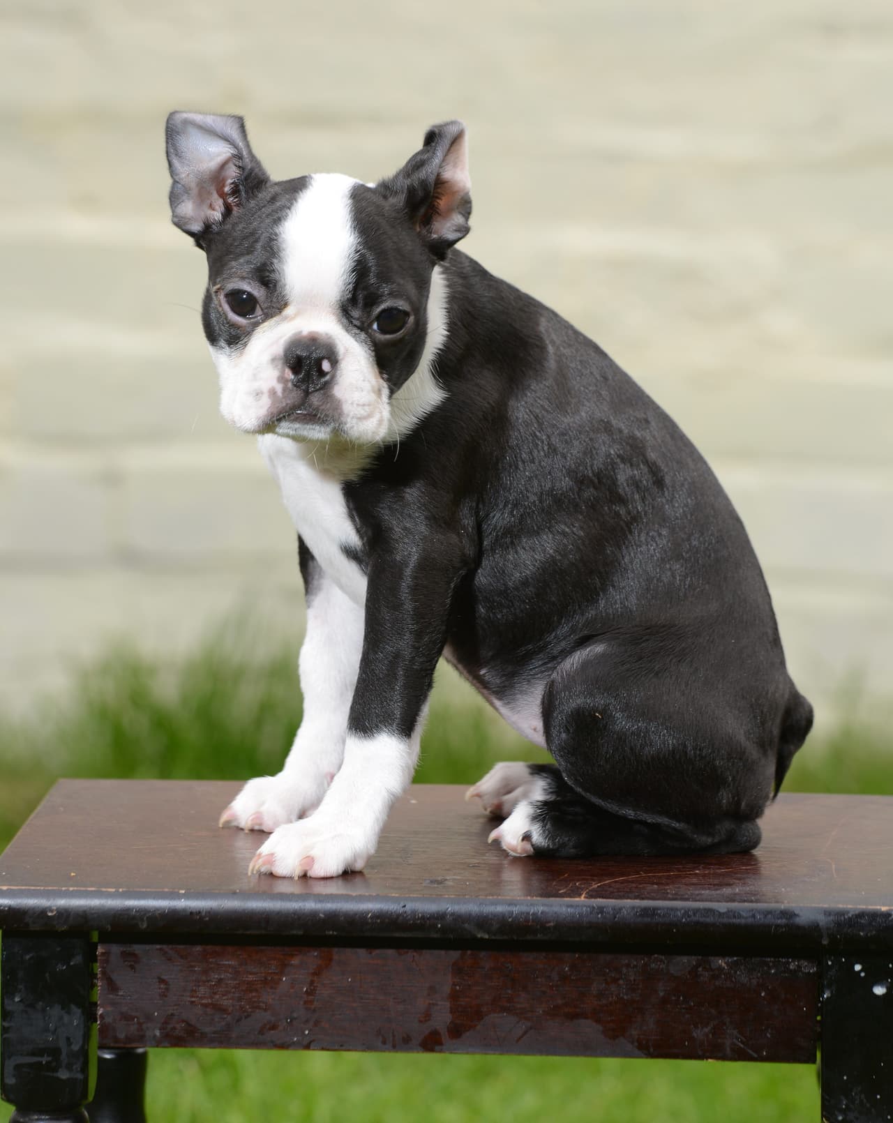 Fue hora y media más tarde cuando las tres se preguntaron dónde estaba la pequeña.