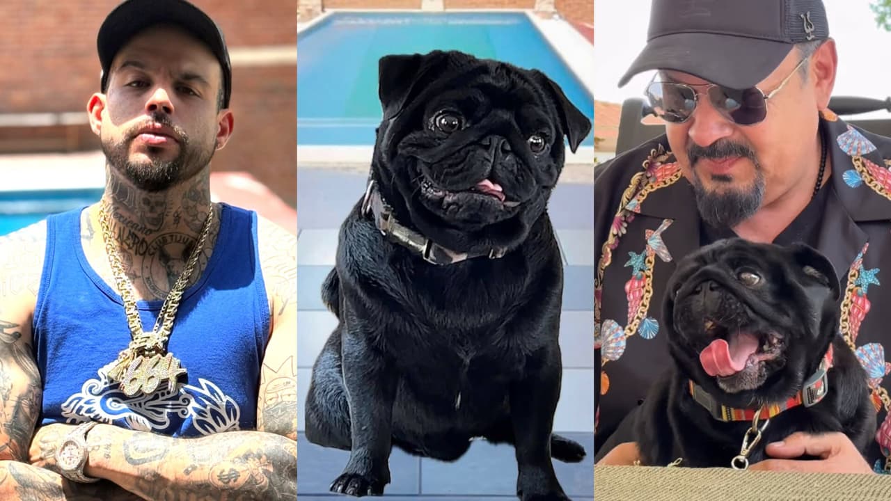 Perro de Pepe Aguilar 'habla' tras 'burla' al hijo del cantante: 'pide' que "deje de tirar golpes"