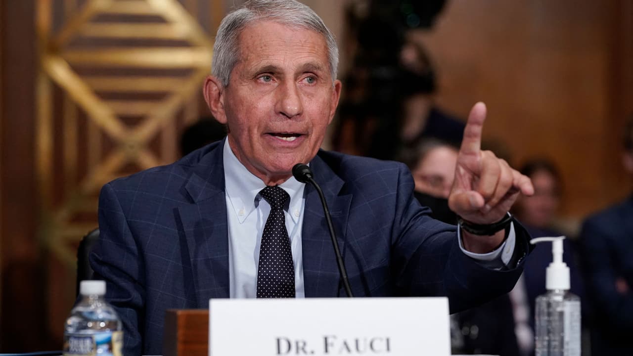 “Senador, si alguien está mintiendo es usted”: Anthony Fauci pierde la paciencia con Rand Paul