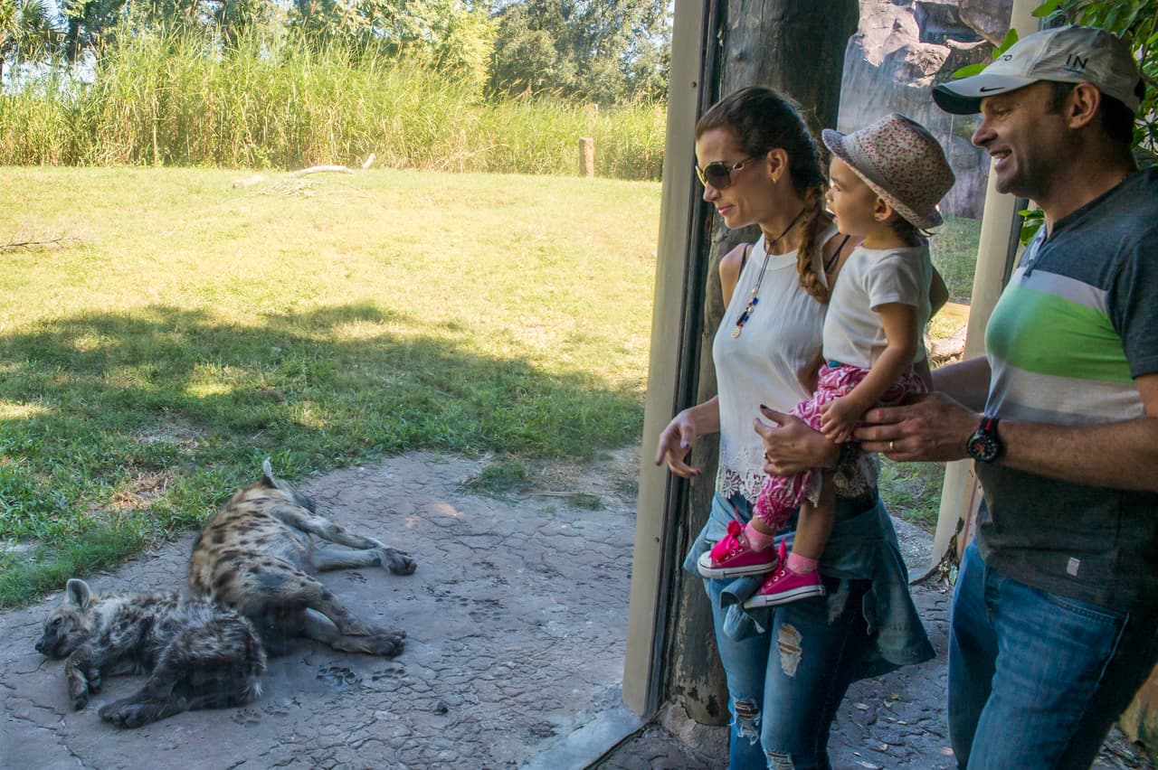 Michelle visitó por primera vez el zoológico y quedó fascinada con el mundo animal.