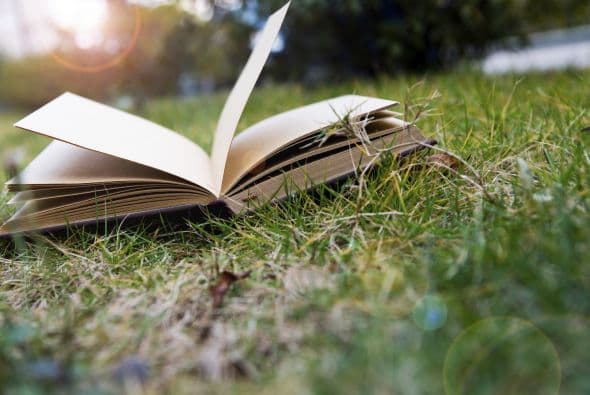 Es un método infalible para ver tu vida bajo otra luz.