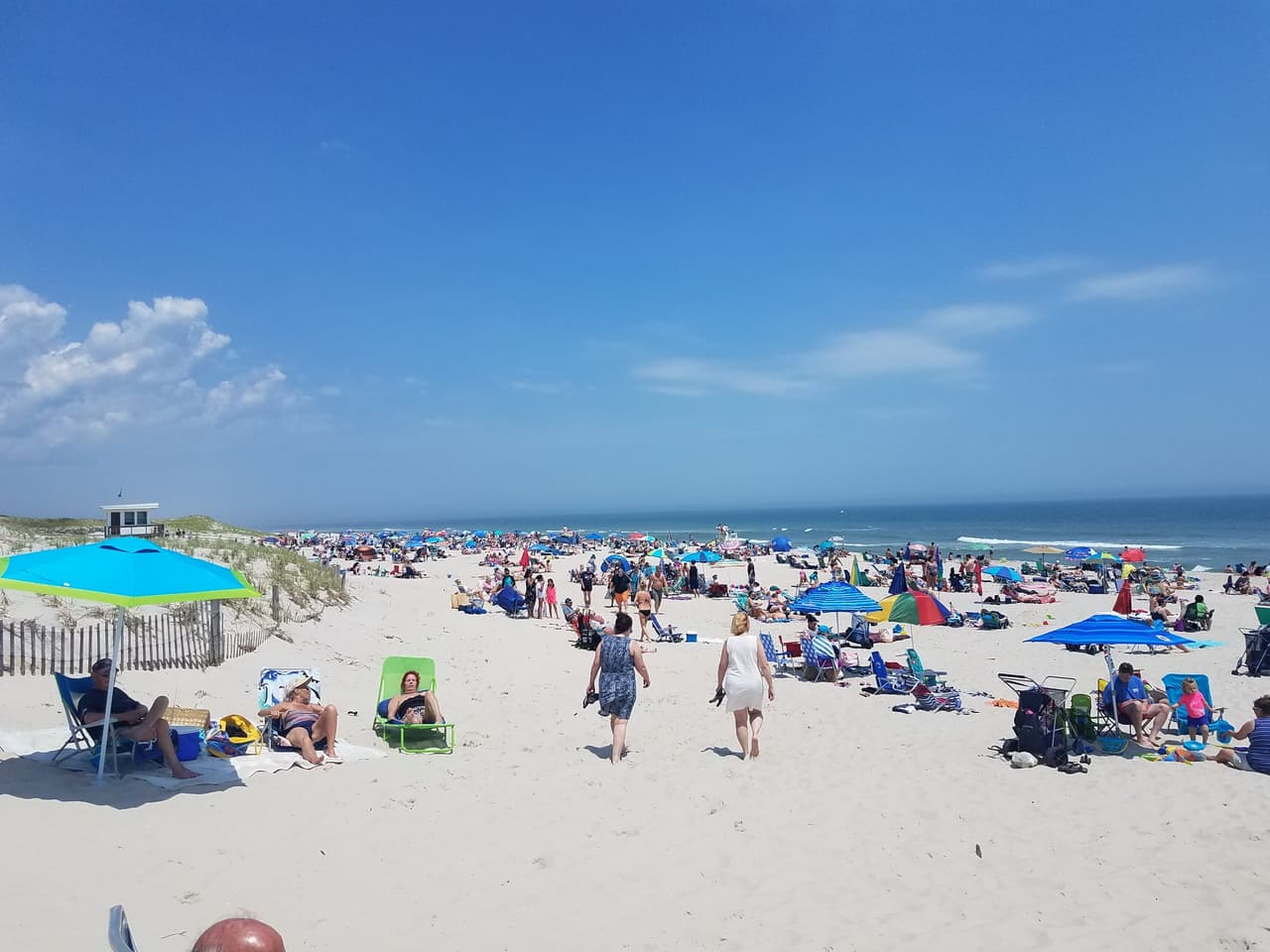 <b>Island Beach State Park </b>es una isla preservada que protege una serie de hábitats costeros naturales y cercanos a la costa en Nueva Jersey. La mayoría de los visitantes van a nadar, surfear o simplemente caminar por la arena.