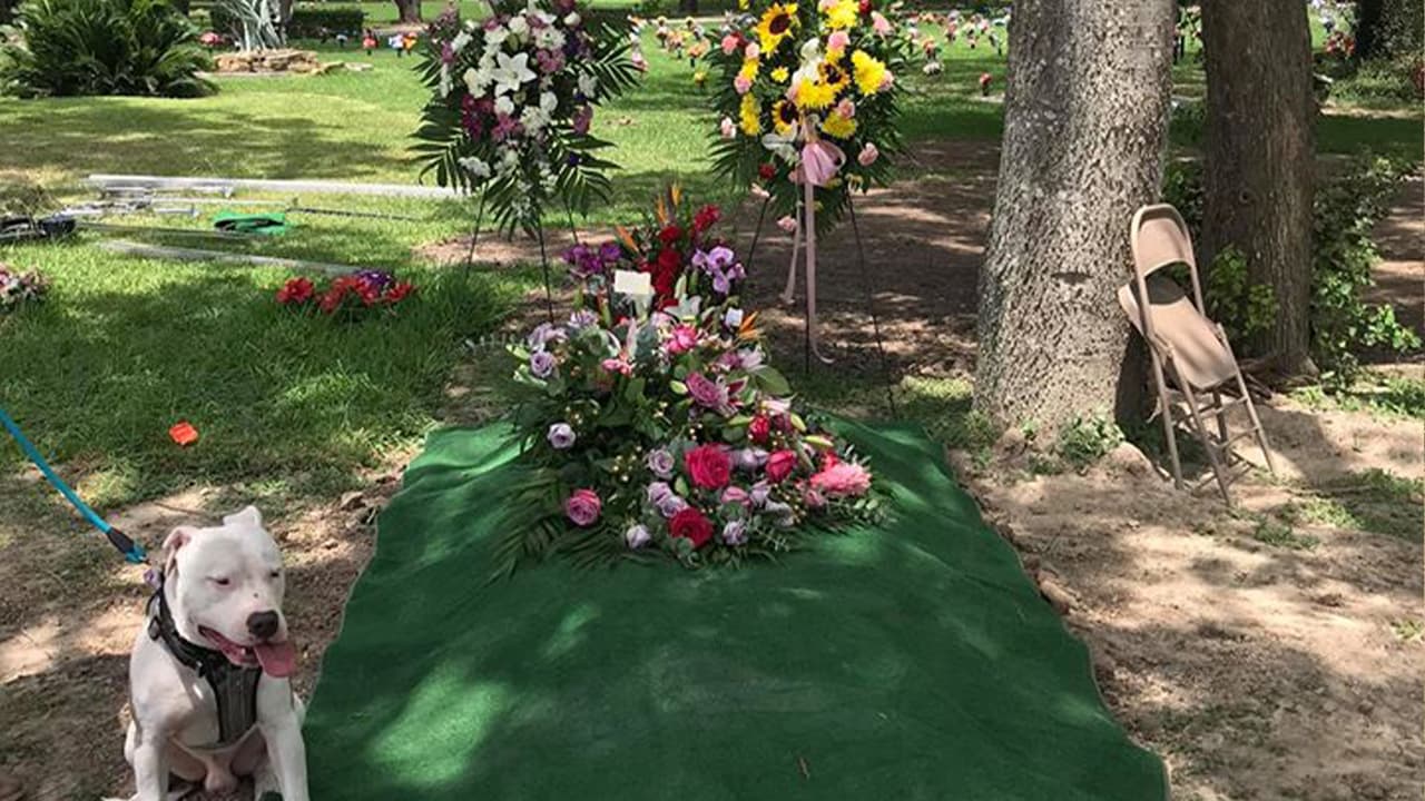 La ceremonia será transmitida a través de la plataforma de
<b><a href="https://www.youtube.com/channel/UCq-umU4jfxI5sHuu5s-vRlQ" target="_blank">YouTube</a></b>.