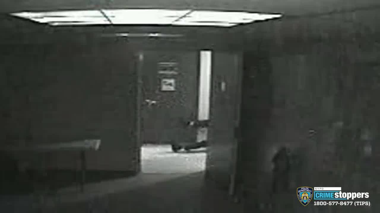 Revelan video del momento en el que un policía es baleado en Harlem