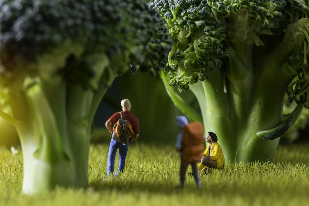 Sin embargo, el pasado sólo es un hobbie debido a que actualmente se dedica a tiempo completo a la fotografía de alimentos y a crear sus famosas escenas de miniatura.