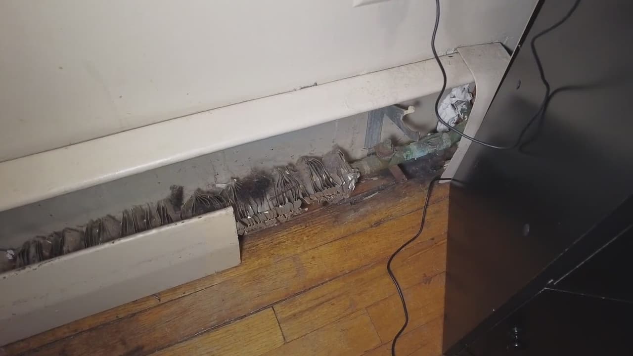 Inquilinos viven 'pesadilla' en edificio del Bronx y se mantienen en huelga de pago