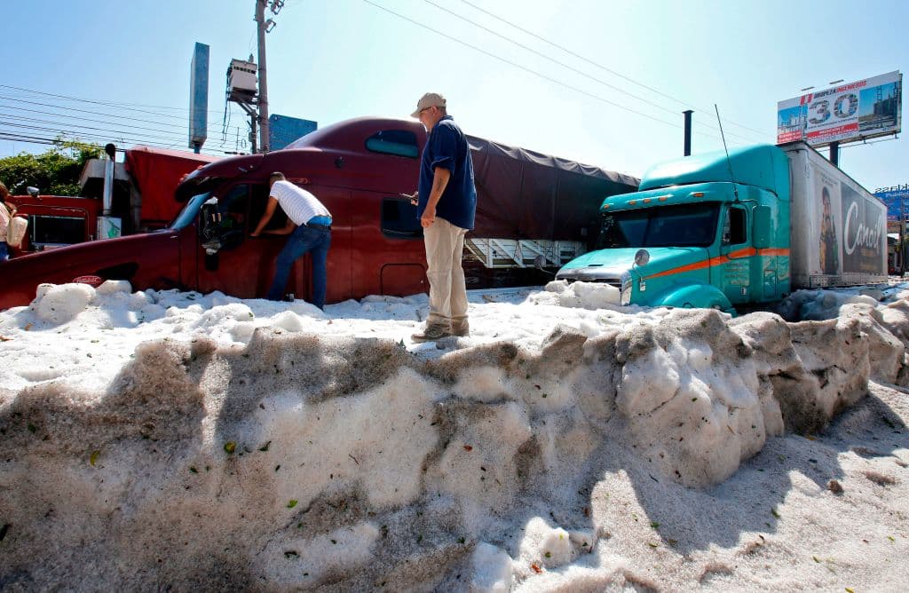 Dos hombres revisan camiones sepultados por el granizo.