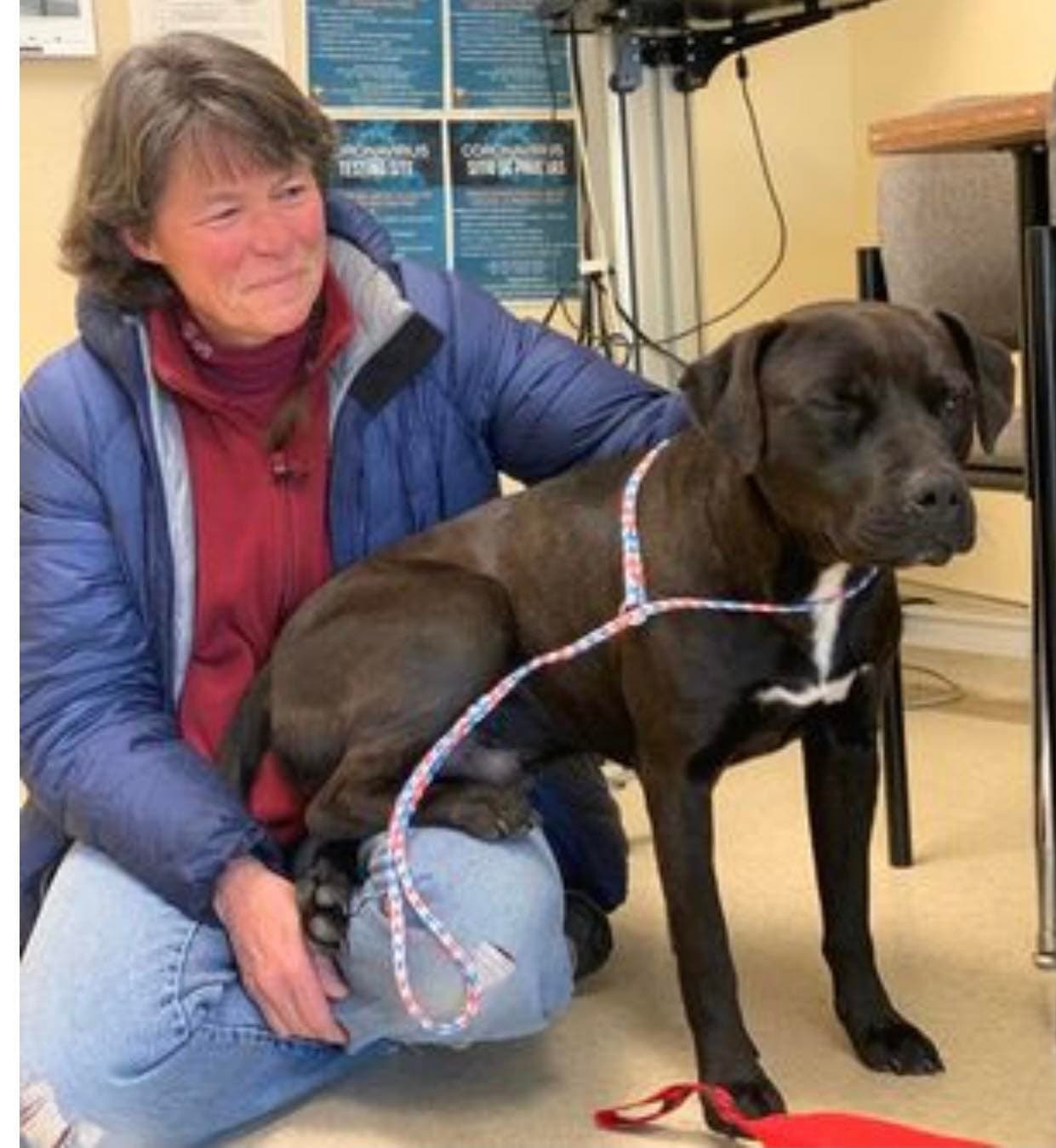 El dueño de Russ no podía creer cuando lo llamaron para decirle que habían encontrado a su fiel compañero. Una historia con final feliz, con un buen recordatorio de ponerle un microchip a tu mascota en caso de que se pierda.
<br>