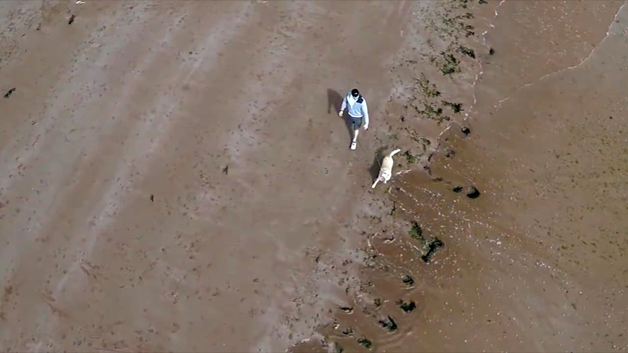 Adam Miller cumplió 30 años, así que le pidió a Samantha Harvey que fueran a verla.