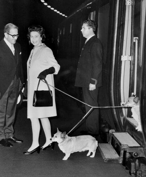 Pese a su amor por los corgis, hace tres años la Reina, de 91 años, tomó la decisión de no tener más mascotas. Explicó que no quería dejarlos atrás cuando muriera, según 'Vanity Fair'.